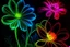 Placeholder: floral fluorescent art