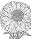 Placeholder: real massive Zinnia flower coloring page