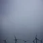 Placeholder: Thousands vertical wind turbines. Heavy cold rain. Thunderstorm. An engineer looking up. Futuristic scenary. Gray mist.