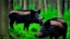 Placeholder: wild pigs with long tusks in woodland