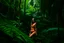 Placeholder: a girl in a bikini on a jungle background