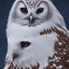 Placeholder: snow OWL EAGLE