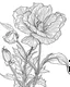 Placeholder: real massive only Lisianthus flower, coloring page, no leaves, full body (((((white background))))), only use an outline., real style, line art, white color, clean line art, white background, Sketch style