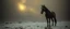 Placeholder: John Atkinson Grimshaw the longest horse, pinhole cam