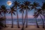 Placeholder: Full moon through palm trees, sandy beach, reflection in the ocean