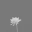 Placeholder: tiny delicate long stem crystalline flower, beautiful composition, centered in frame, smoke effect, steam effect, pastel colors, plain solid color, highly intricate, extremely ornate, highly detailed, photorealistic, chiaroscuro, aesthetic layout, monochrome pantone, minimalist photography, hyper realistic, octane render, minimalist art