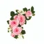 Placeholder: Pink roses