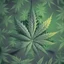 Placeholder: generate a smokey weed wallpaper with asymetrical random weed pattern placement