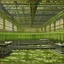 Placeholder: An olive green factory with goo designed in Navajo woven art painted by Claude Monet