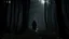 Placeholder: Dark Forest, Monsterverse, Can not see, walking in the night, urban legend