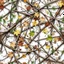 Placeholder: detailed Real Tree Camouflage made of sticks, twigs, green pine branches, dried maple leaves, snow and dirt, white background, seamless repeatable texture camo pattern