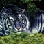 Placeholder: 90's fantasy tcg art of blue tiger in jungle