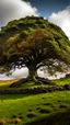 Placeholder: Sycamore Gap