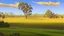 Placeholder: in a romantic artistic style, a view of an australian sunny peaceful landscape outside kitchen window