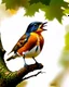 Placeholder: A beautiful bright close-up image of an American robin bird, standing on a tree branch while singing. Hyper-realistic hyper-vibrant hyper detailed oil painting.