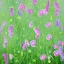 Placeholder: a detailed painting of sweet pea flowers, seamless pattern, oil on canvas, Figurative