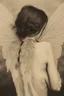 Placeholder: a haunting image of a woman with insect wings protruding from her back as she faces away from us, in despair and pain, her wings that are broken torn and crumbling