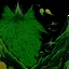 Placeholder: Anti-Telos expansive Bogomil landscape, essence of dark angels., Haeckel creatures crawl, by Aurelio Monge, Otto Rapp, Max Ernst, Hieronymus Bosch, liquid matte paint, tenebrism, meander art.