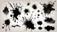 Placeholder: Set of black ink style stains brushes and textures