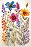 Placeholder: 4 wildflower vibrant multi colors classic hand drawn botanical style on white paper texture