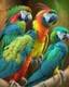 Placeholder: Parrot birds