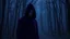 Placeholder: Scary creepy dark purple-aesthetic anime shadow figure male hood covering face standing in woods far away full body at night