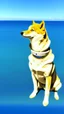 Placeholder: Doge sea