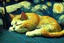 Placeholder: sleeping cat in van gogh style
