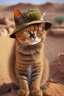 Placeholder: brown cat wearing a Hat in the Iraq