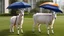 Placeholder: Goat holding a cisco branded umbrella in the AWS cloud