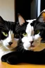 Placeholder: one black and one white cat lieing down to together