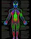 Placeholder: Fantasy00d Technical Diagram, Info graphic, Charts, of A Cosmic Anatomical Human body, Info Graphic, Scientific, Data Diagram, Nervous System, Galaxy, Vibrant Colors, Midnight Aura, Ultra Detailed, H.R. Giger, Max Ernst, Thomas Kinkade, Robert Gonsalves, dark background