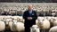 Placeholder: malevolent world leader and orator at podium speaking to large field of sheep