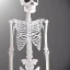 Placeholder: beautiful transparent skeleton, smooth flowers background, extremely sharp detail, finely tuned detail, ultra high definition, 8k, unreal engine 5, ultra sharp focus, accurate hands