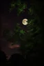 Placeholder: Night, tree leaves, moon, clouds, creepy gothic movies influence, photography