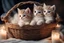 Placeholder: Cute stuffed kittens lie in a carved basket on a soft sling, by candlelight