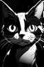 Placeholder: Black and white anime cat pfp