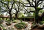 Placeholder: A panoramic view of the Library Gardens, where medieval fantasy meets ancient nature. Winding stone paths meander beneath towering centuries-old trees whose massive canopies create a living cathedral ceiling, casting intricate shadow patterns below. Hanging vines and multicolored flowers cascade from branches, while climbing plants embrace the ancient trunks. Natural sitting areas are formed by time-smoothed boulders and fallen tree trunks, polished by centuries of readers. The library itself em