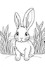 Placeholder: cute coloring page, sketch style, cute baby rabbit in the wood, cartoon, white and black, withe background, no shadows, outline.