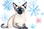 Placeholder: Xmas, siamese cat, watercolor, wet on wet, snowflakes, zentangle