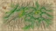 Placeholder: cartography kit