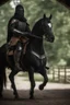 Placeholder: portrait of black knight riding out from stable,shot on Hasselblad h6d-400c, zeiss prime lens, bokeh like f/0.8, tilt-shift lens 8k, high detail, smooth render, down-light, unreal engine, prize winning