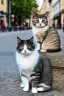 Placeholder: Small cat sitting in the foreground of street in Vienna Austria