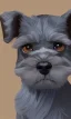 Placeholder: cute miniature schnauzer portrait