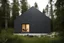 Placeholder: place a scandinavian home valo house colour RAL7009 grüngrau in a dense woodland landscape