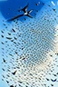 Placeholder: realistic drawing of a swarm of detailed swallows in the blue sky.