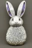 Placeholder: White gold rabbit brooch Contains black crystal White background