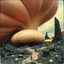 Placeholder: Photography polaroid close-up of a random landscape with massive odd Yves Tanguy incomprehensible style Surrealism, glossy, organic, creepy tumor mass growing, strong texture, fiotti di liquido nero, horror, panic, obsessive, hypnotic