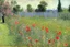 Placeholder: Flowers, hummingbird, sunny day, fence, field, alfred sisley and konstantin korovin painting