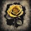 Placeholder: Hyper Realistic grungy multicolored yellow rose with rustic black jeans texture & vignette effect